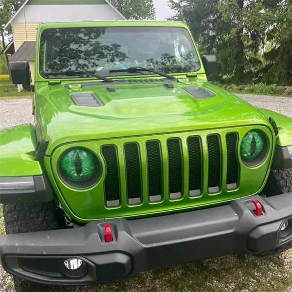 Beast Eyes Headlight Decals (1 Pair)